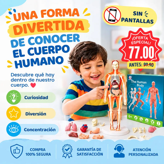 Kit Didáctico del Cuerpo Humano